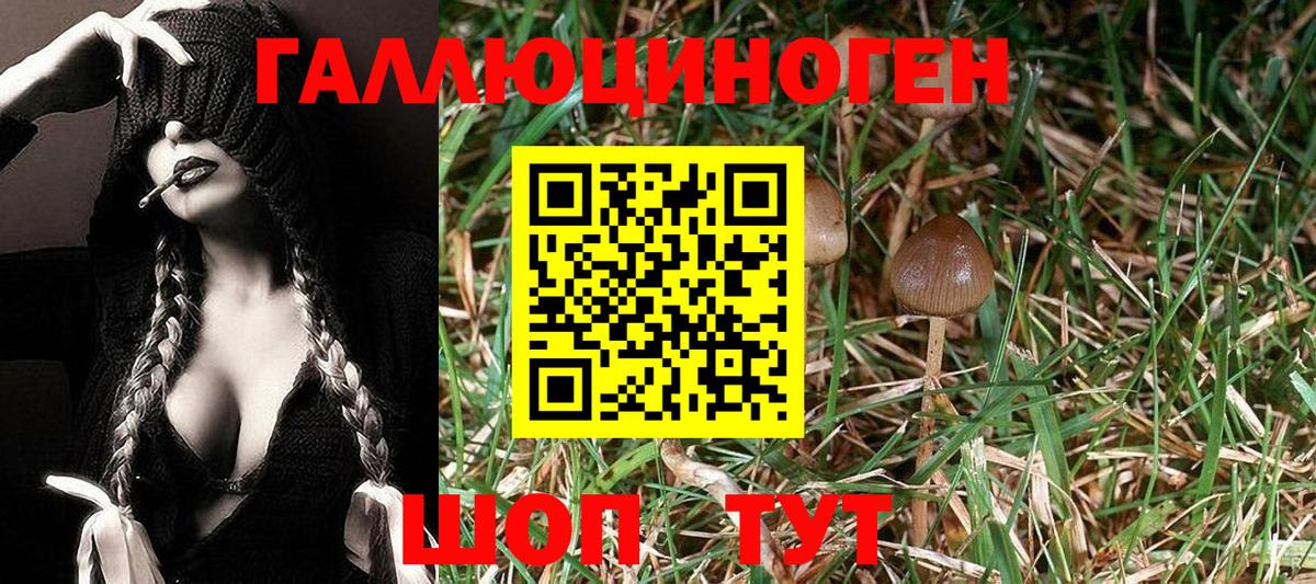 Новоуральск  Псилоцибиновые грибы MAGIC MUSHROOMS  где можно купить наркотик  Вход с VPN 